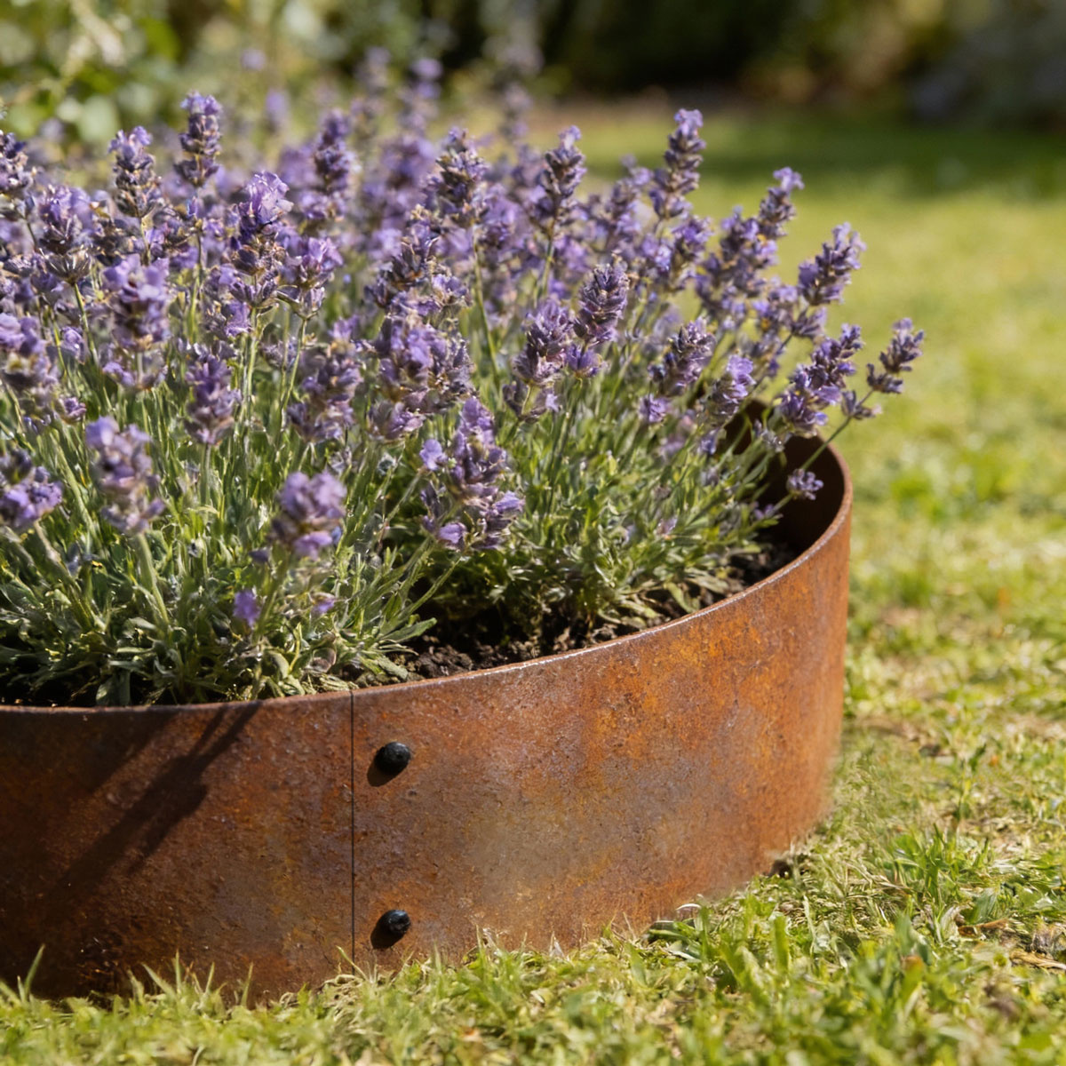 Runde Cortenstahl-Beetumrandungen ø 40 cm 14 cm hoch (5 Stück)