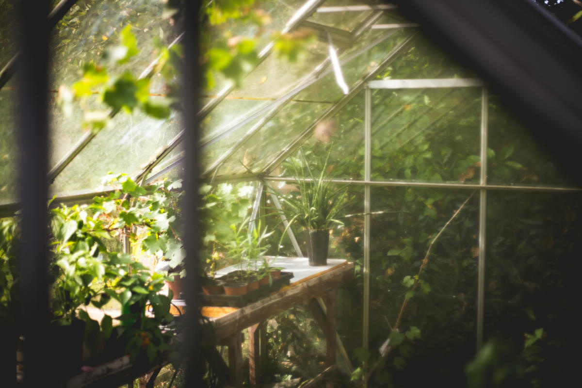 Wissenswertes über den Anbau von Gewächsen im Folientunnel